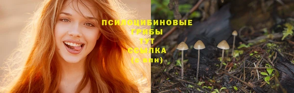 apvp Горнозаводск