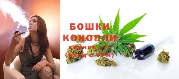 эйфоретик Гусиноозёрск