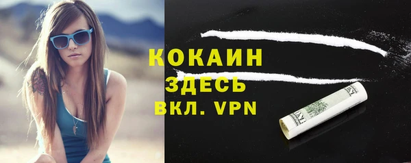 не бодяженный Гусь-Хрустальный