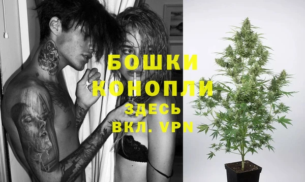 эйфоретик Гусиноозёрск