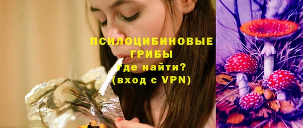 марки nbome Вяземский