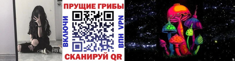 Галлюциногенные грибы Cubensis  Завитинск 